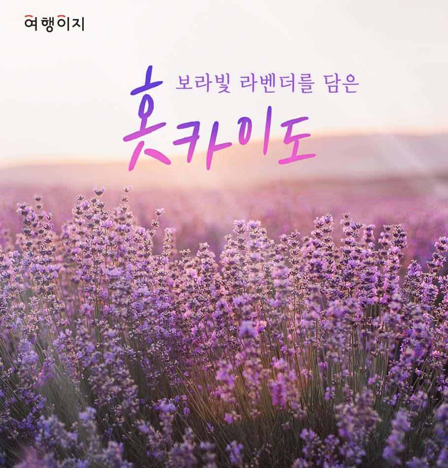 해밀여행 이미지