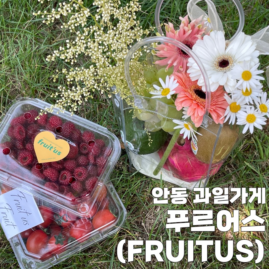 푸르어스(FRUITUS) 이미지