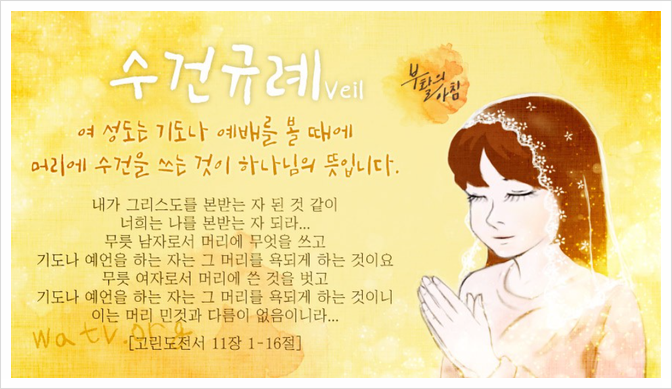 수건나라 이미지