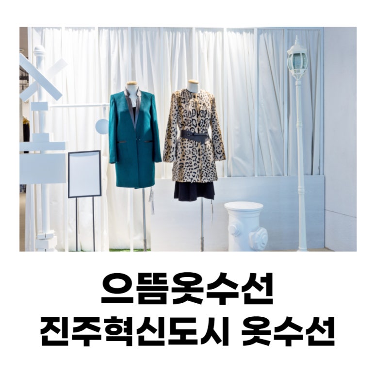 으뜸수선 이미지