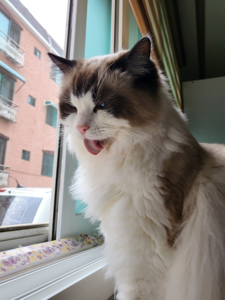 오늘도 참 예쁘다 이미지
