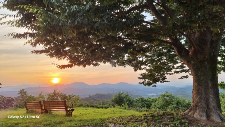 동산항공여행사 이미지