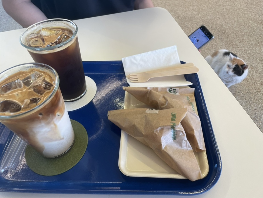 샬레드서울 이미지