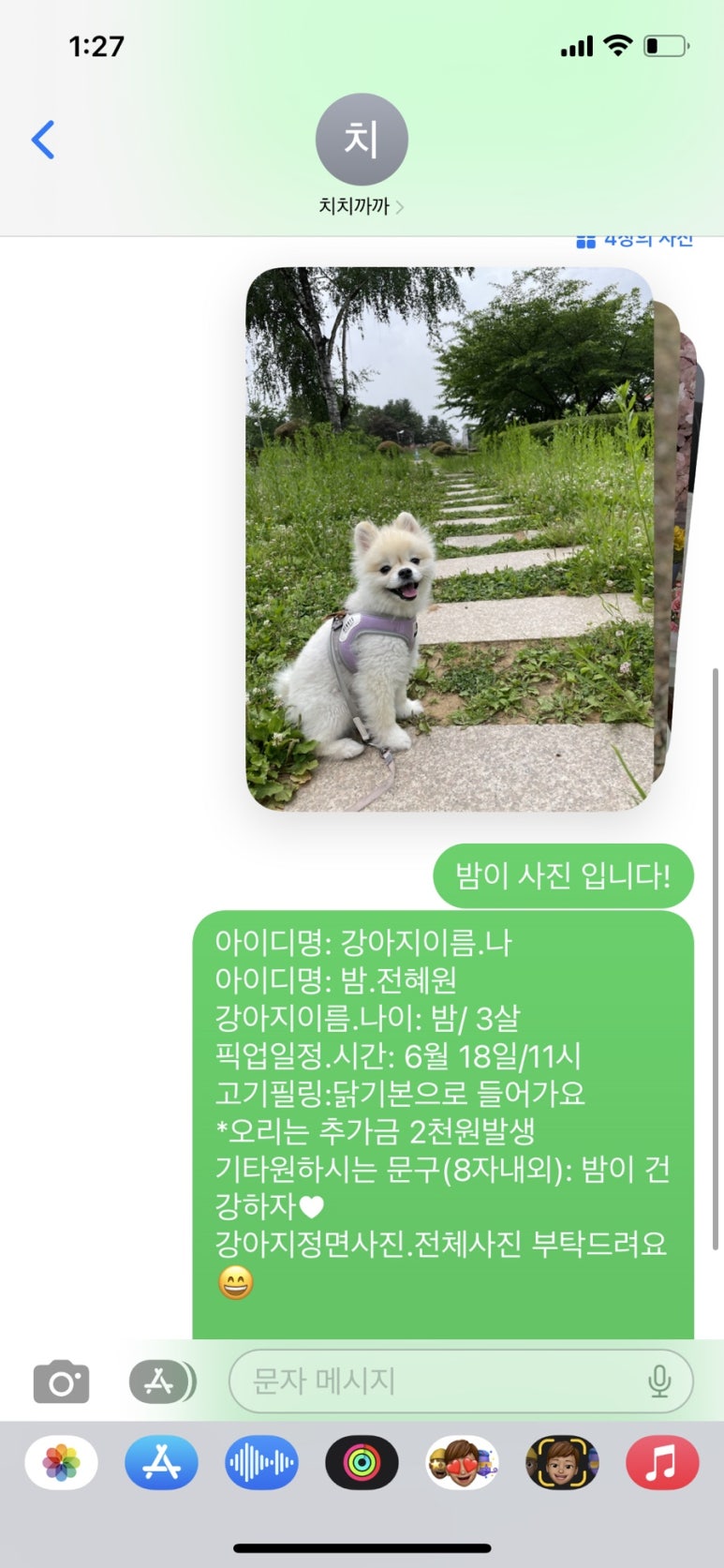 치치까까 이미지