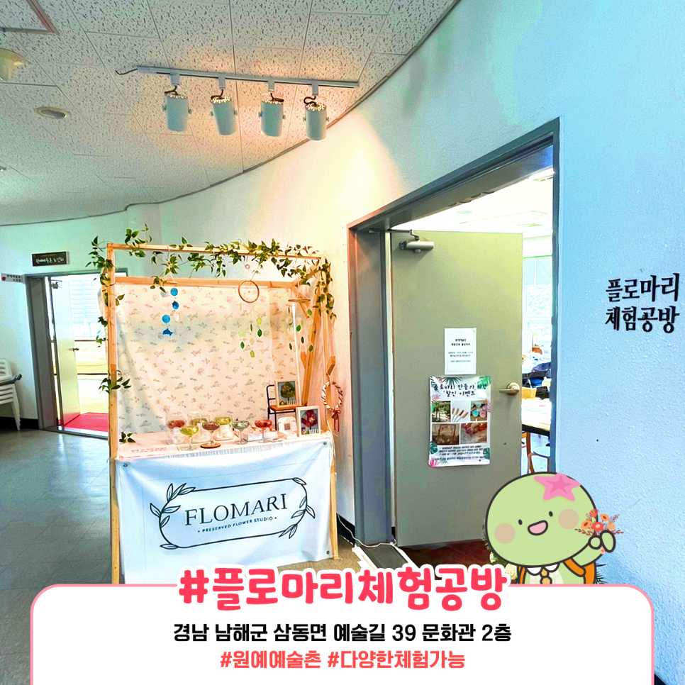 플로마리 이미지