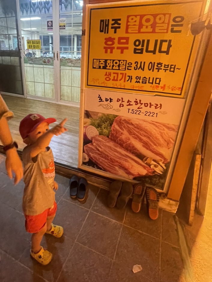 호야암소한마리 이미지
