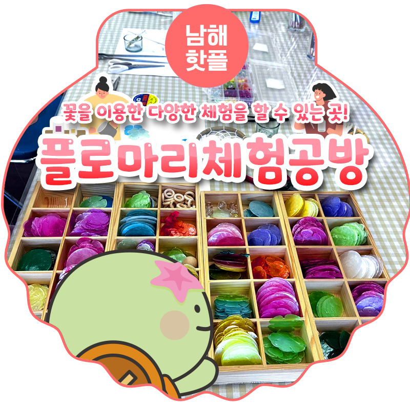 플로마리 이미지