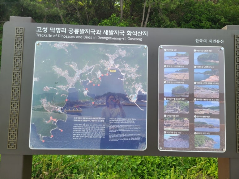 쌍발횟집 이미지