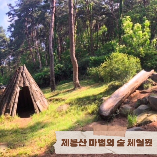 제봉산 마법의 숲체험원 이미지