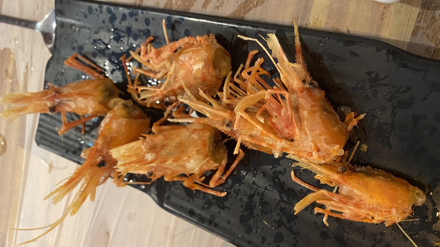 동해바다꽃새우 이미지