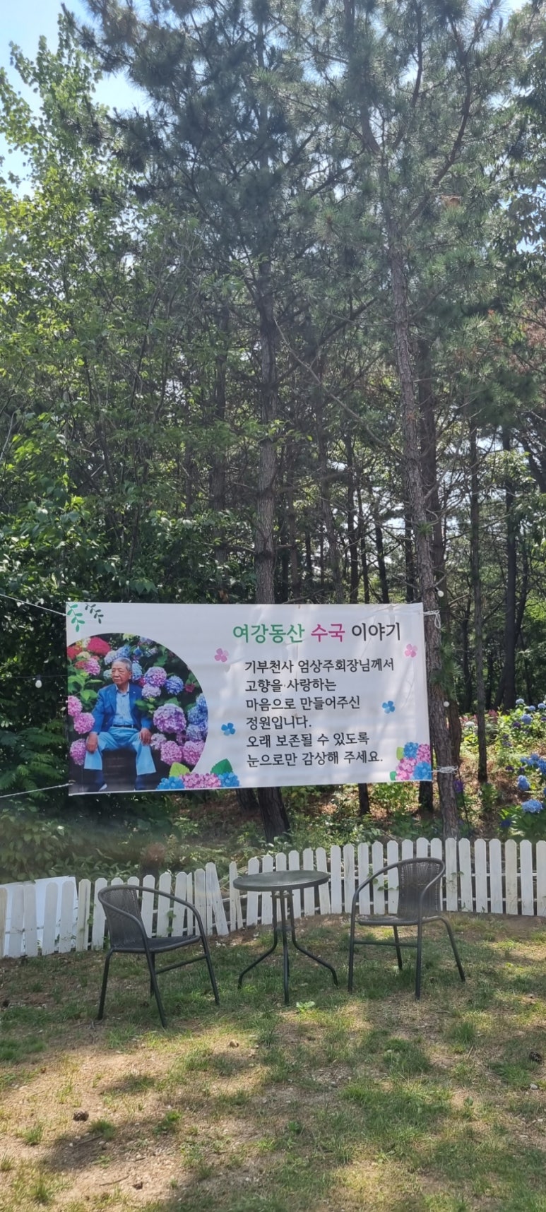 동산항공여행사 이미지
