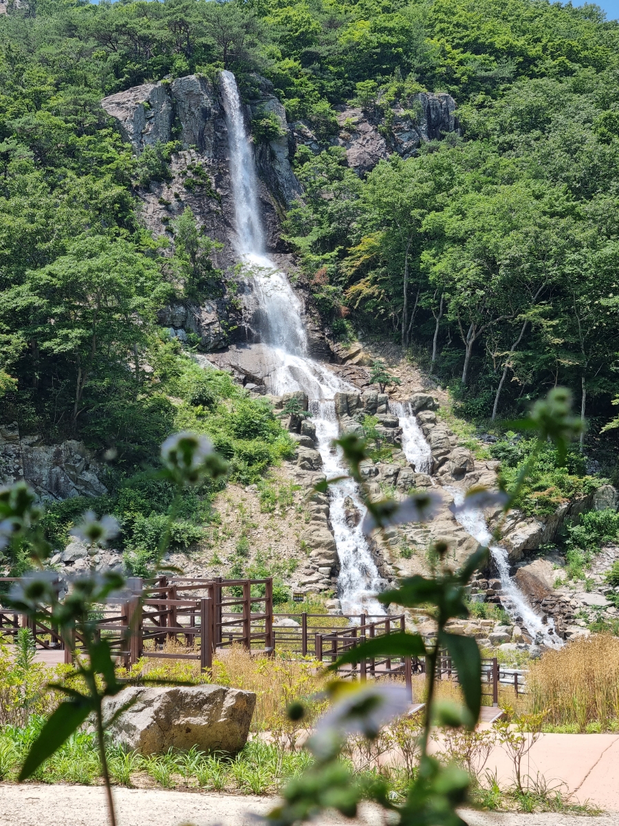 도솔매점 이미지