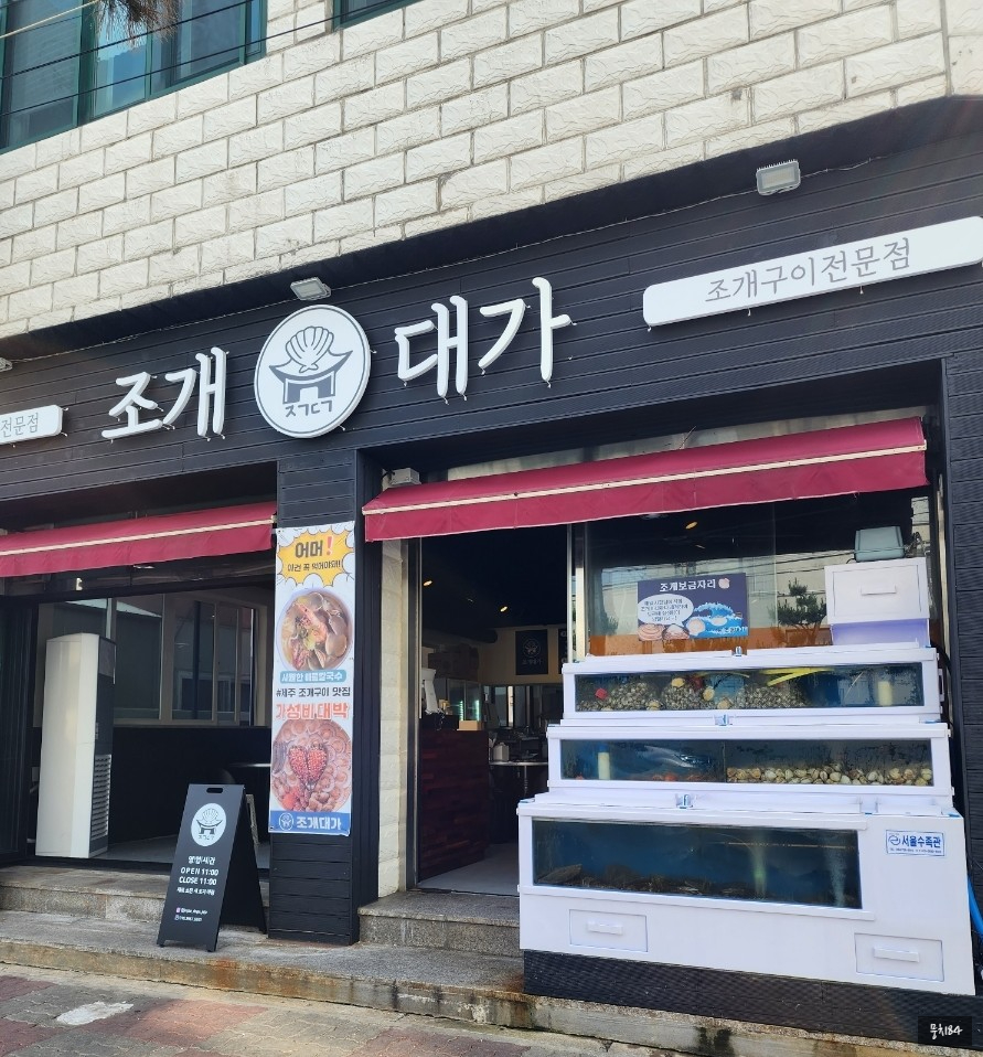 조개대가 이미지