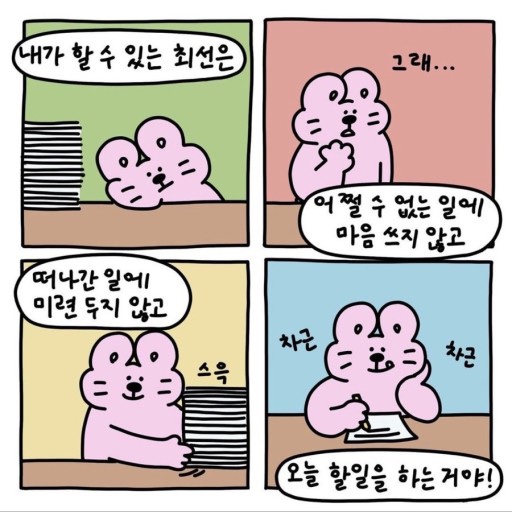 홍돼지 이미지