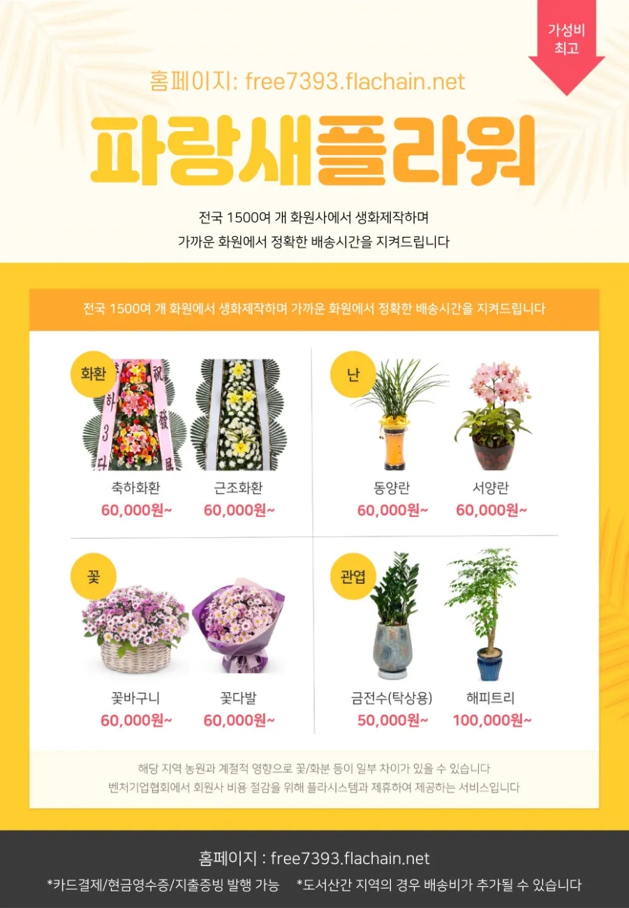 건강멘탈연구소 이미지