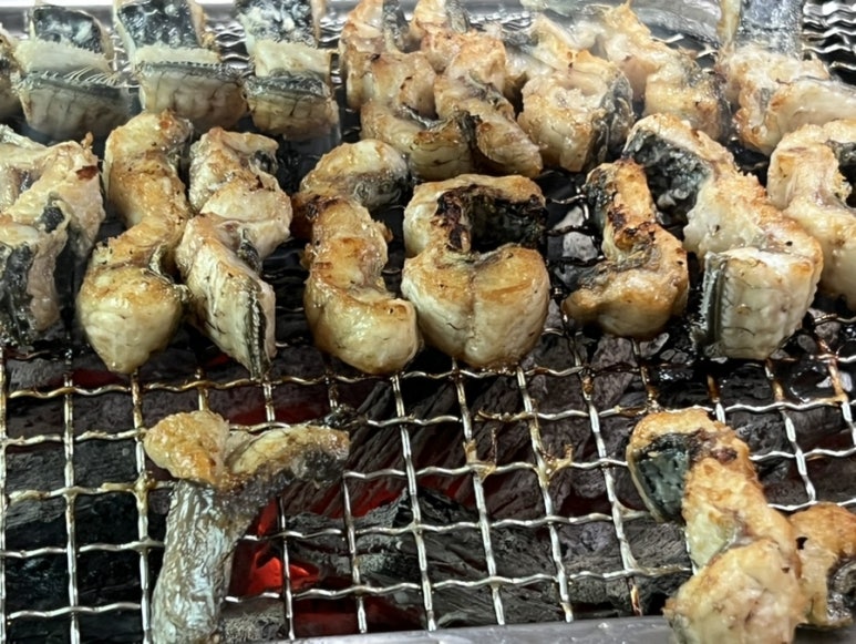의픔장어 이미지