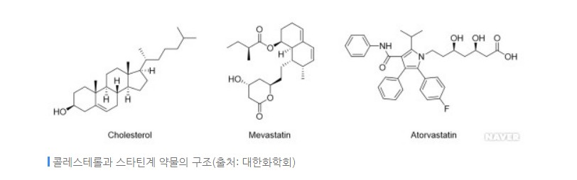 아토스타일 이미지