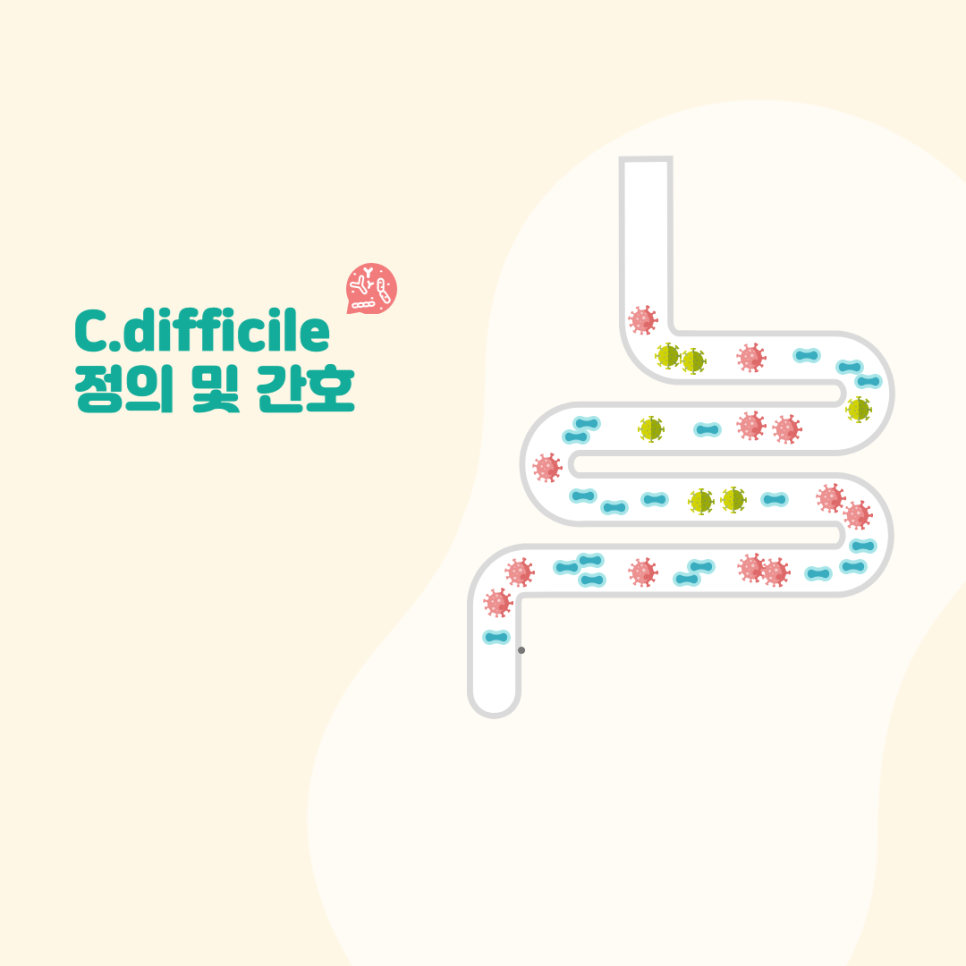 Clostridium difficile(클로스트리디움, C.difficile), CDI의 정의, 원인, 격리기준, 약물 치료 ...
