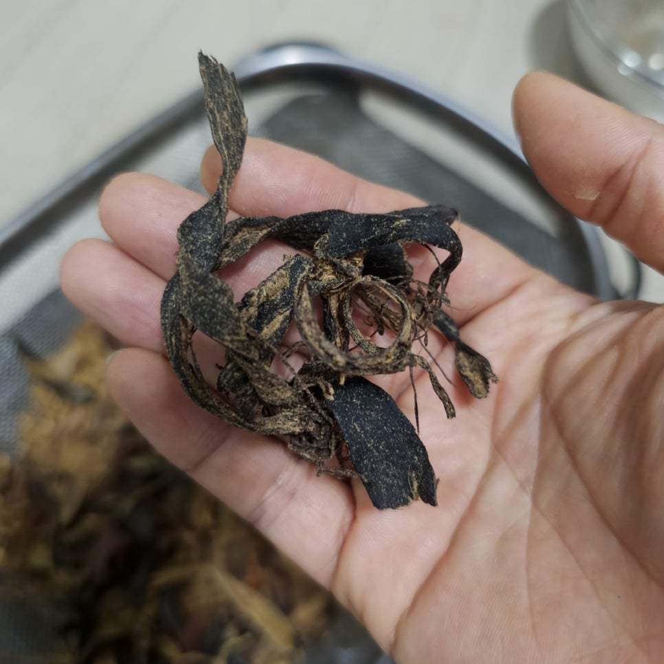 푸드린 이미지