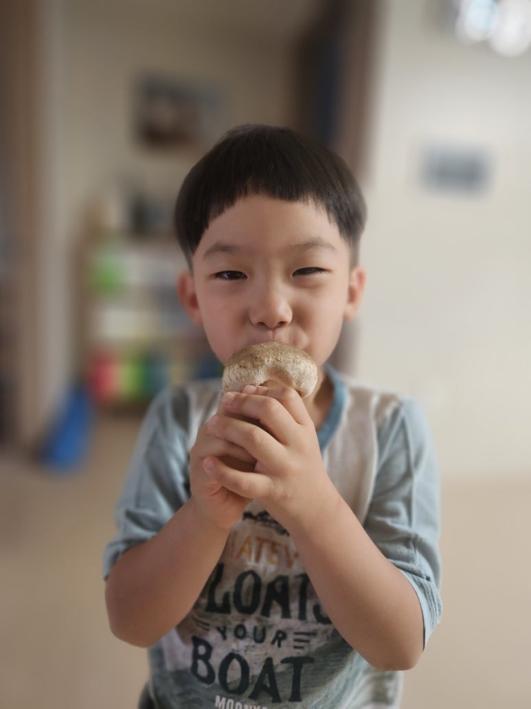 짜르스포츠 이미지
