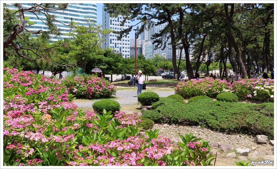 송림화원 이미지