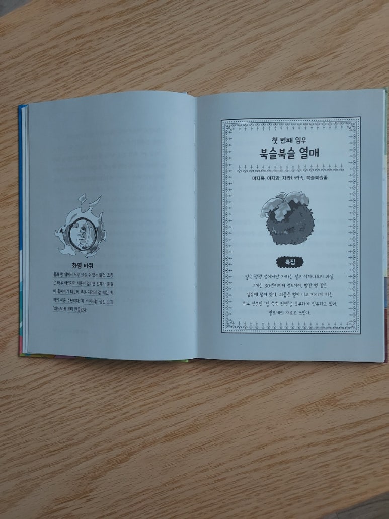 주식회사 이룬 이미지