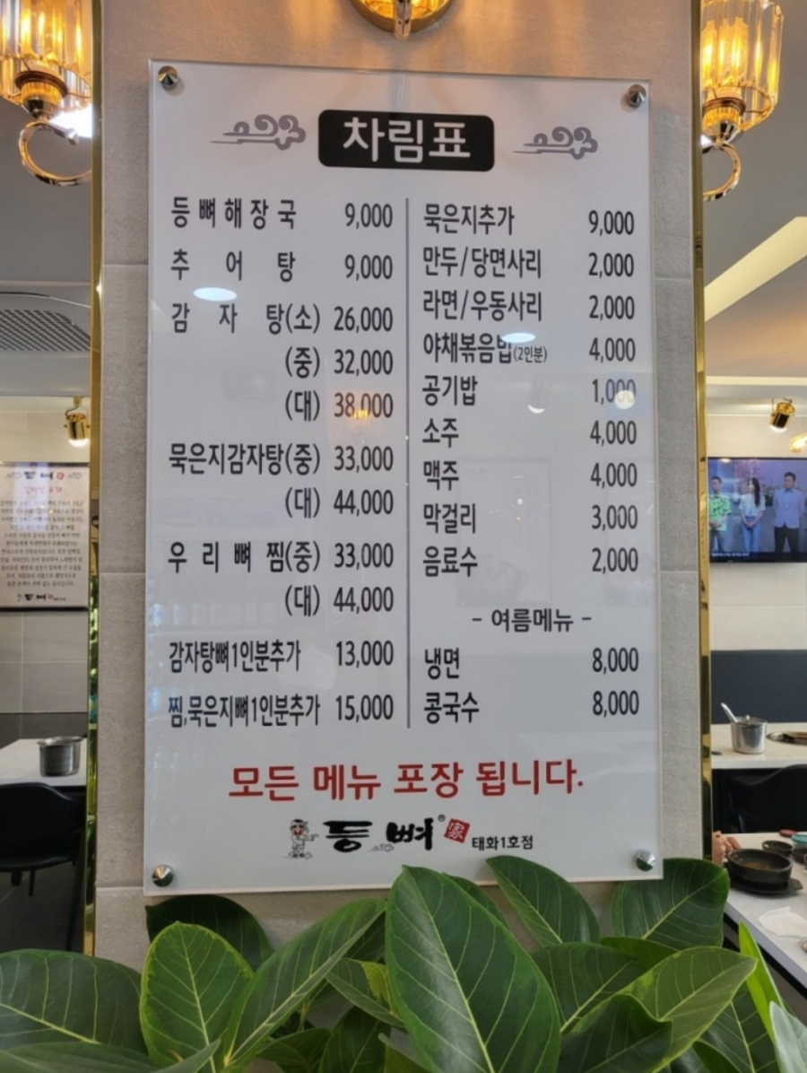 등뼈가 이미지