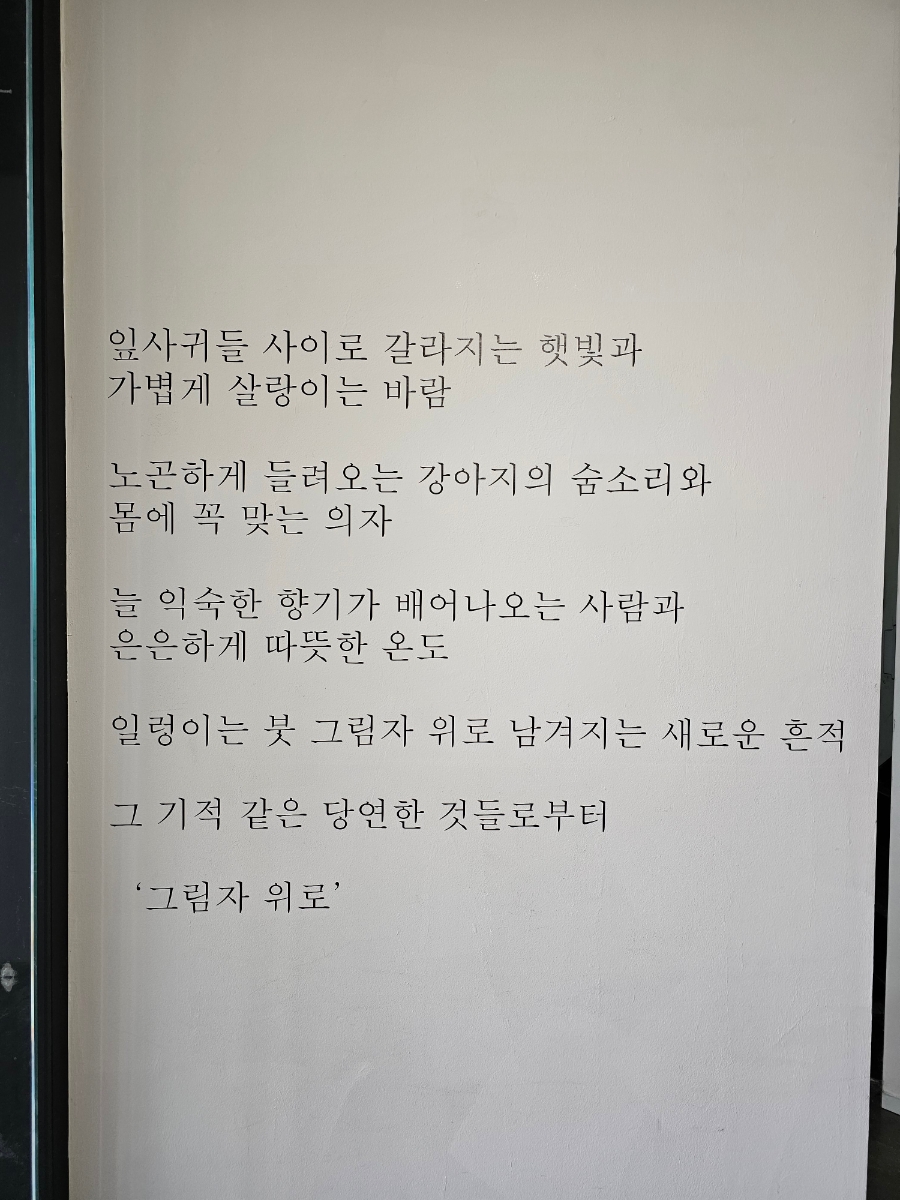 카페노마 이미지