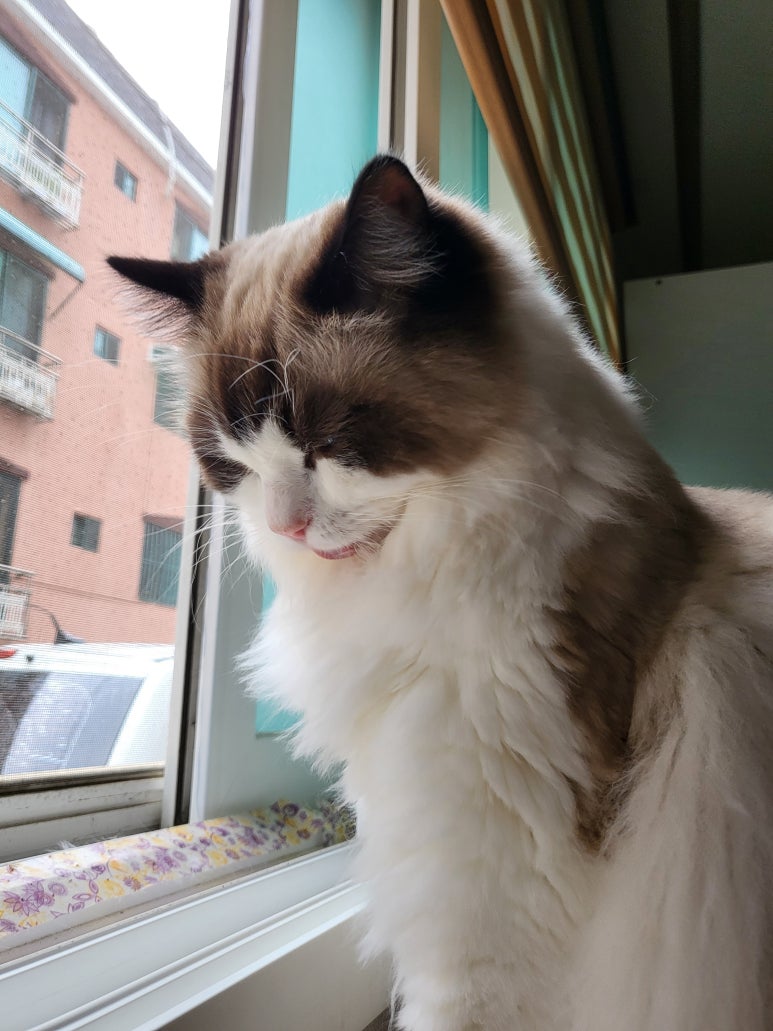 오늘도 참 예쁘다 이미지