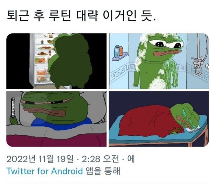 영건핏 이미지