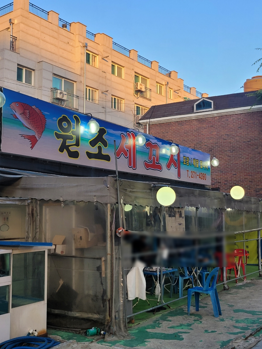 원조세꼬시 이미지