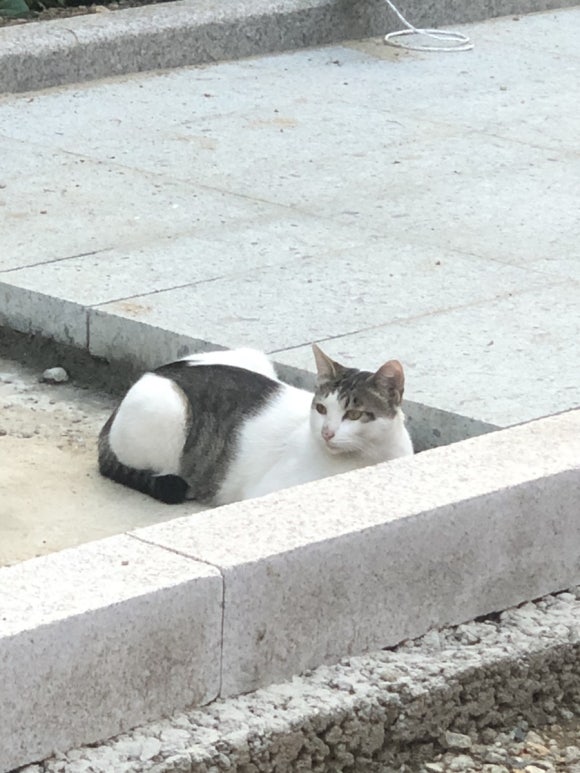 서연세탁소 이미지