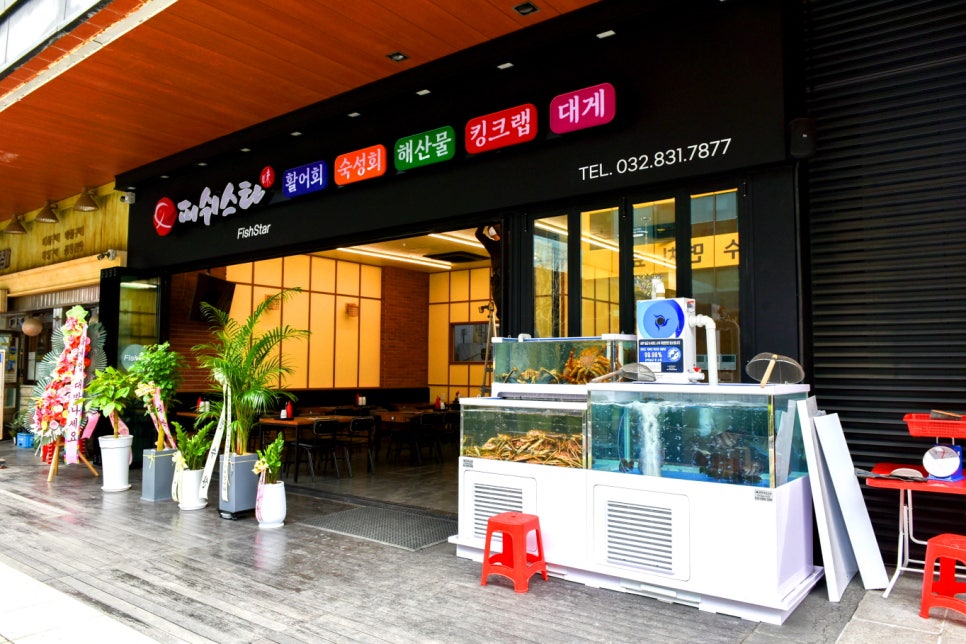 피쉬스타 이미지
