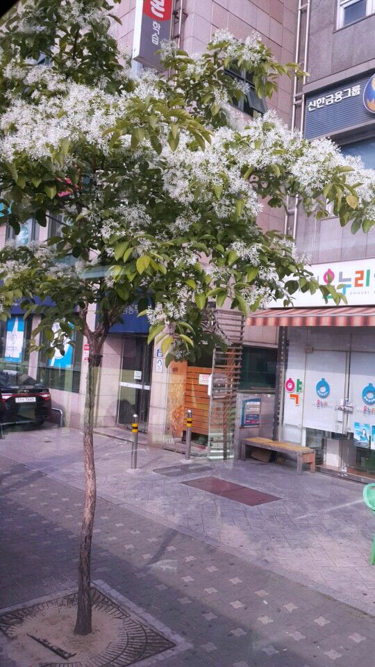 식잡 이미지