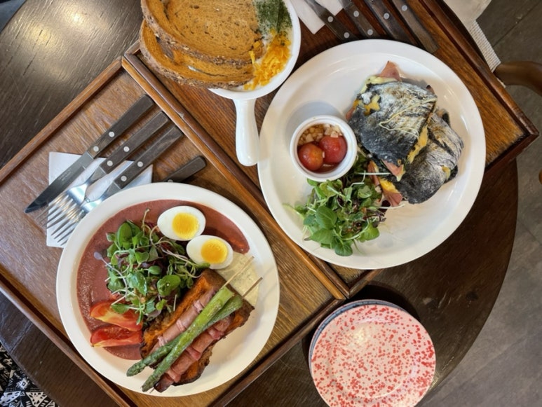 플레지르 이미지