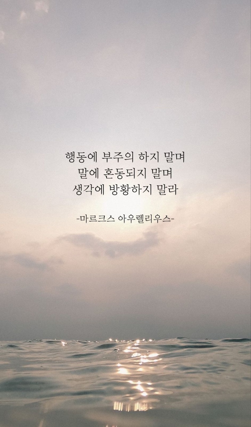 새벽라인 이미지