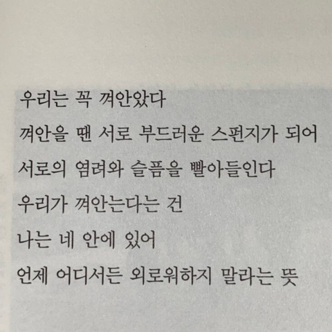 캐일리 이미지
