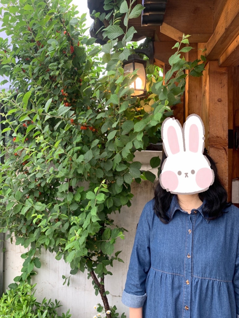 송원조경 이미지
