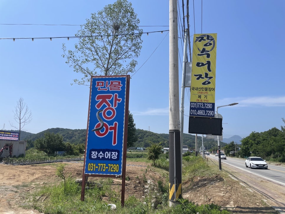 장수어장 이미지