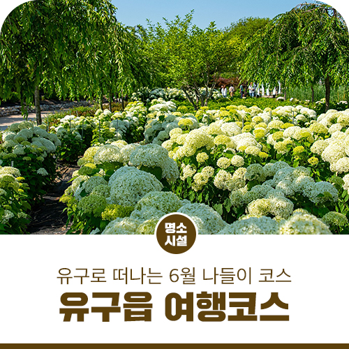 유구농업협동조합하나로마트 이미지