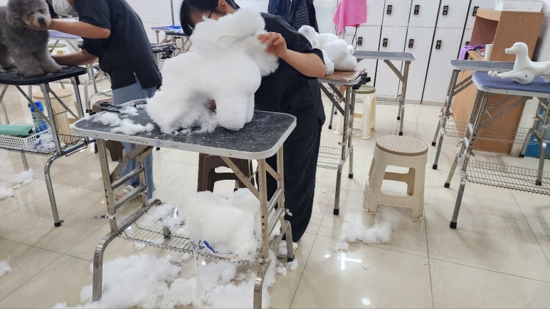 김성균애견미용학원 이미지