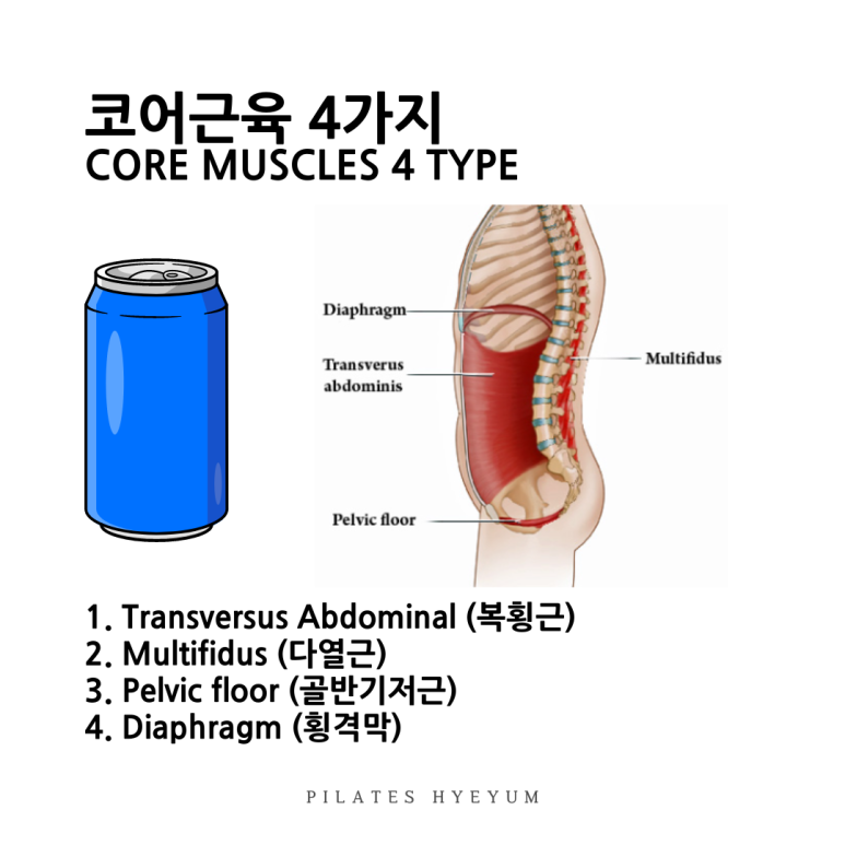 코어앤두 이미지