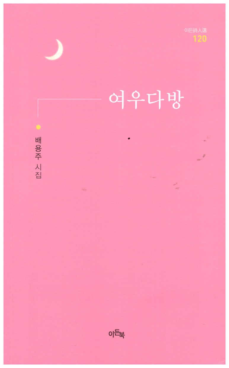여우다방 이미지