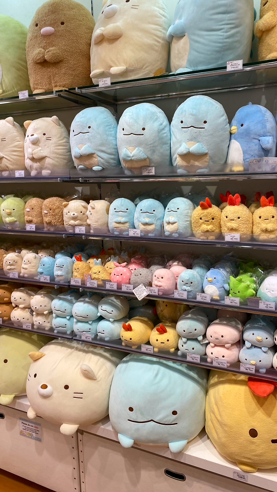 인형랜드 이미지