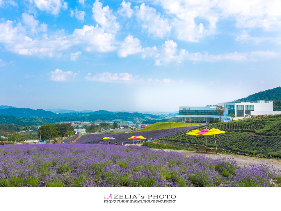 (주)라벤다 이미지