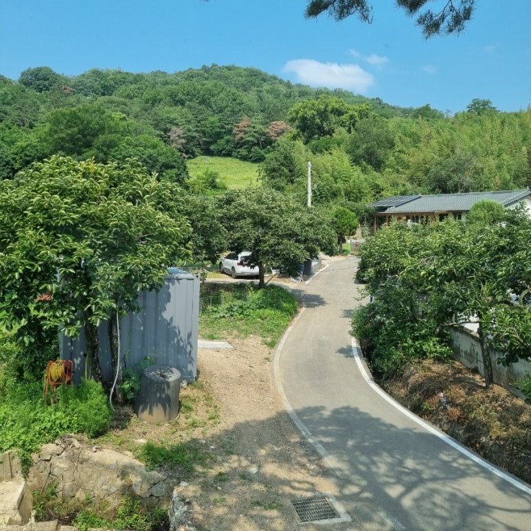 온화한가온송 이미지