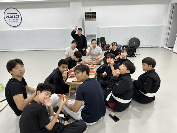 퍼팩트주짓수 이미지