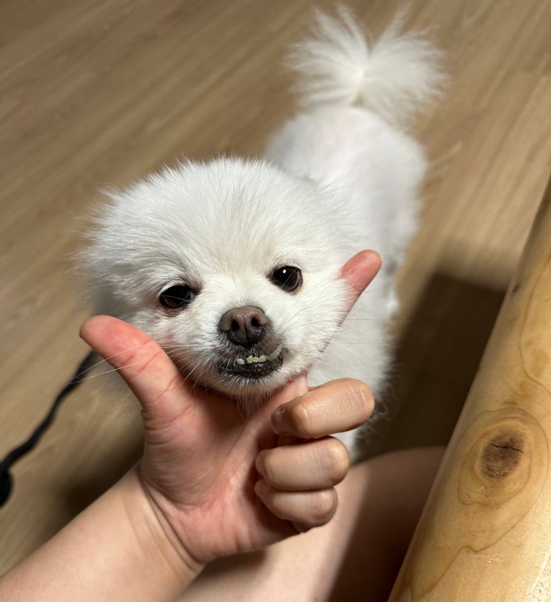 아메리칸피자 나주혁신점 이미지