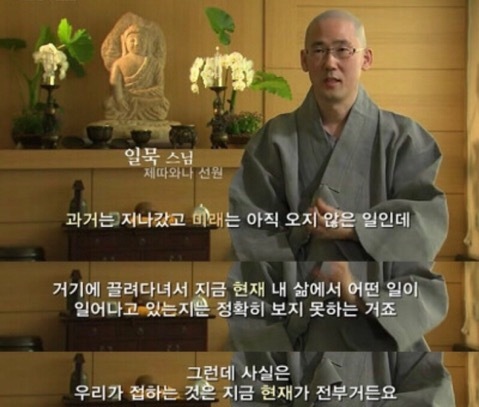 캐일리 이미지