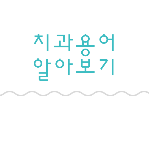 서울다시봄치과 이미지